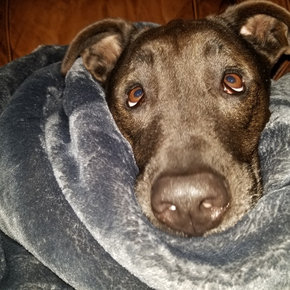 Meet your Posher, Mellissa